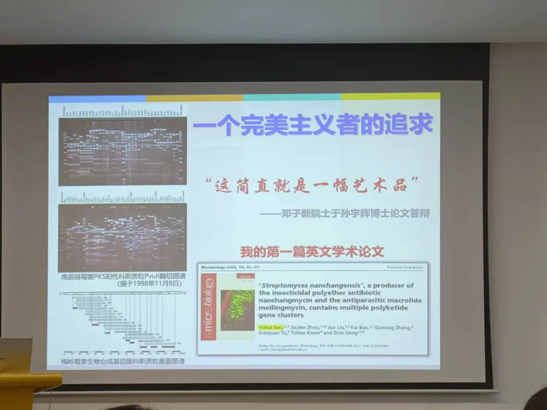 image-20240606231231-5