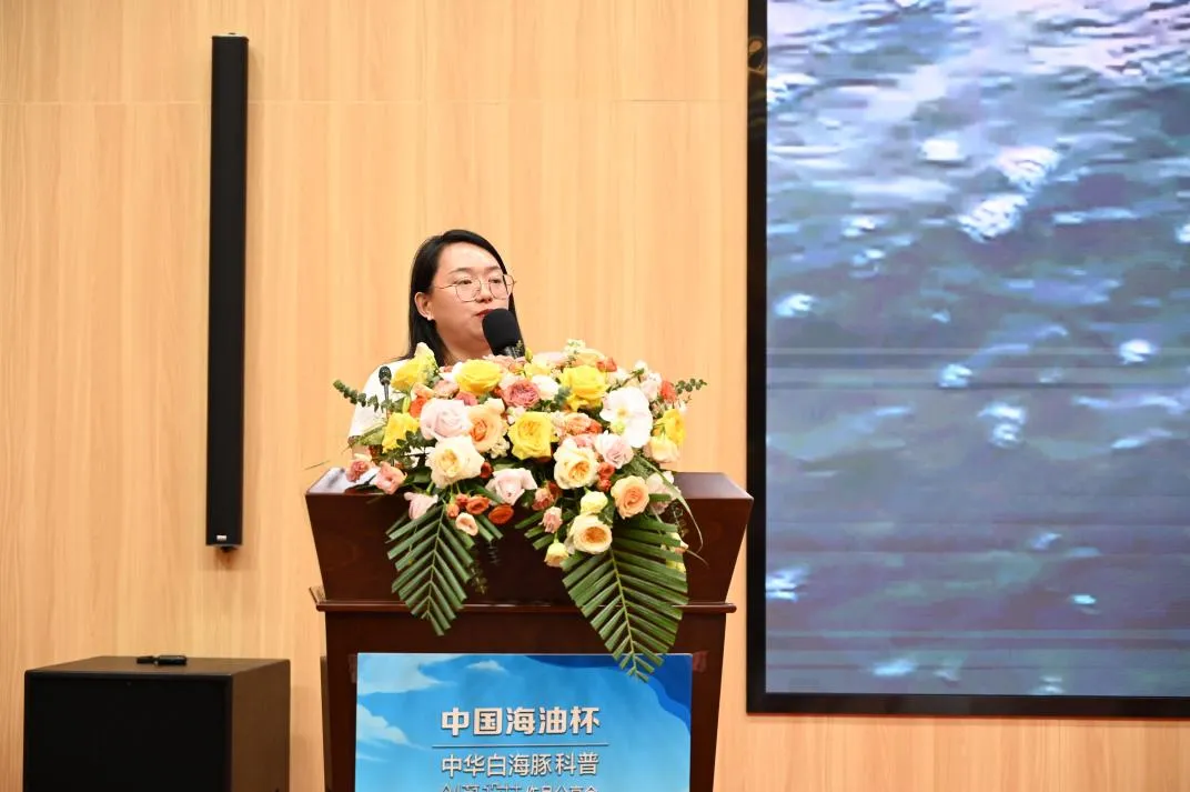 image-20240606232201-7