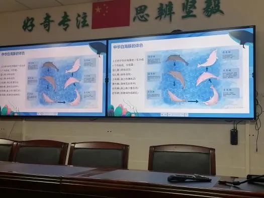 image-20240606232844-10