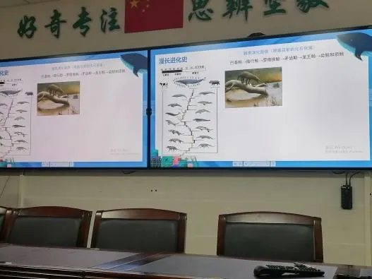 image-20240606232844-11