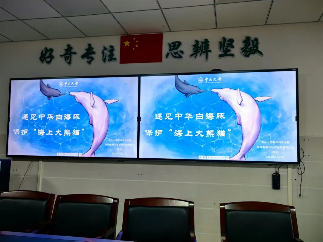 image-20240606232844-9