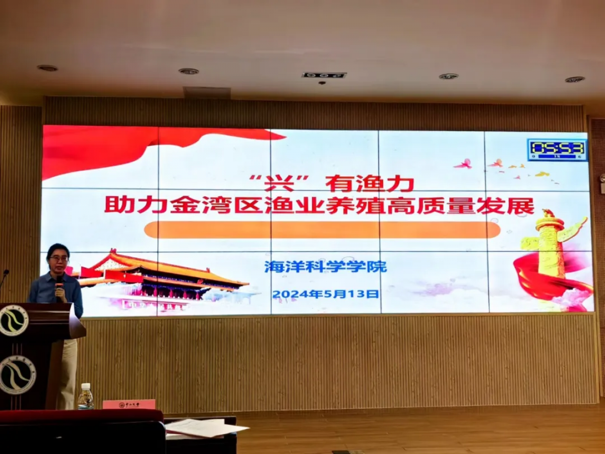 image-20240606235906-1