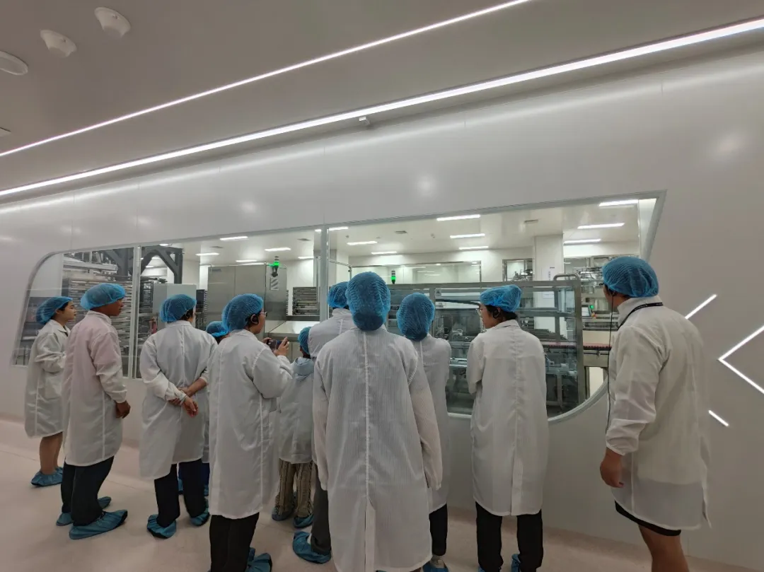 image-20240607000522-3