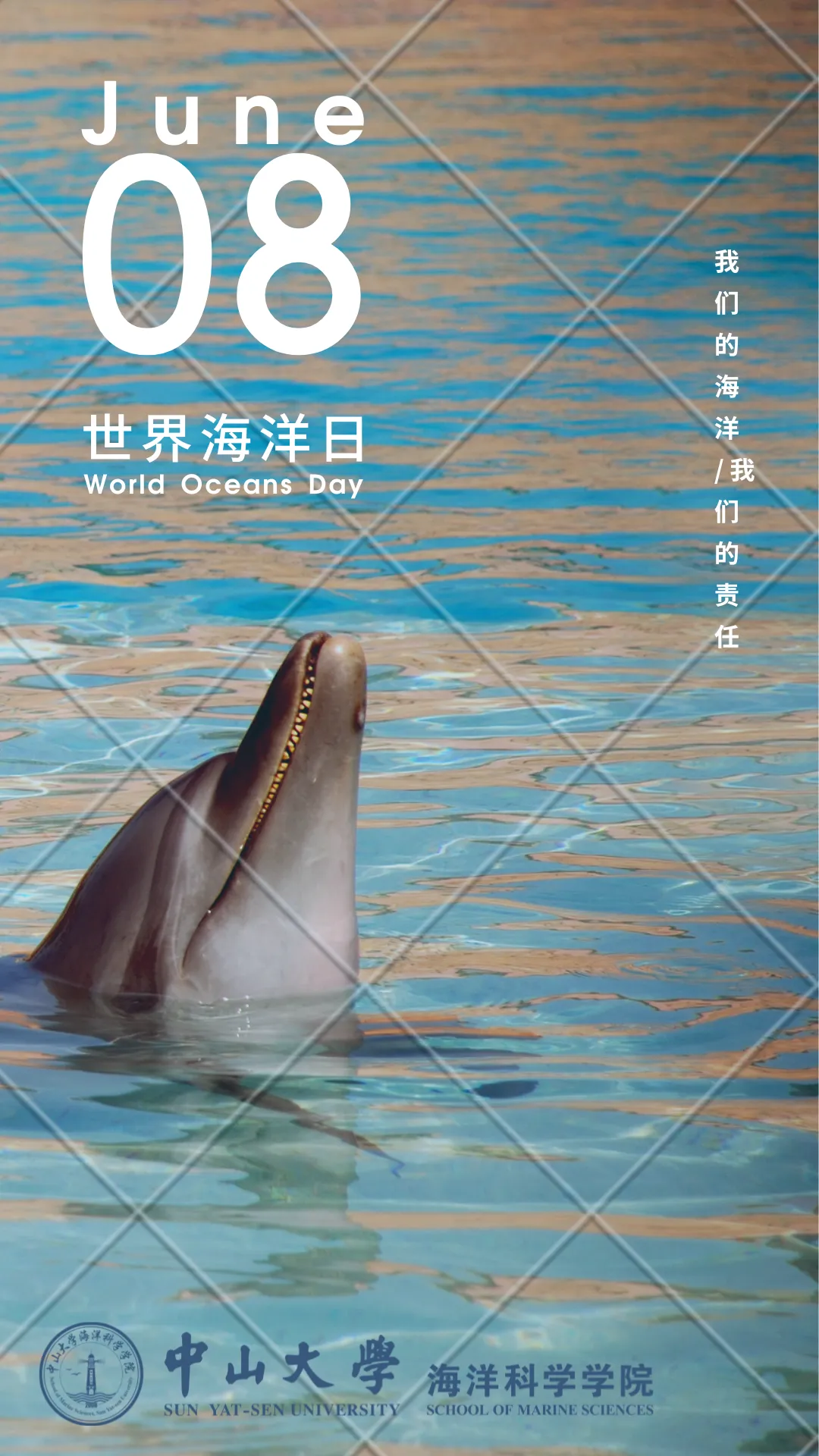 image-20240715105328-1