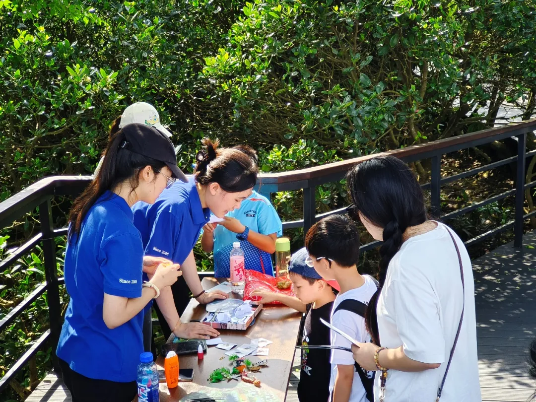 image-20240715105328-16