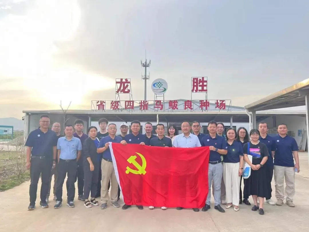 image-20240715105328-18