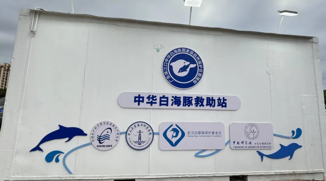 image-20240715105328-5