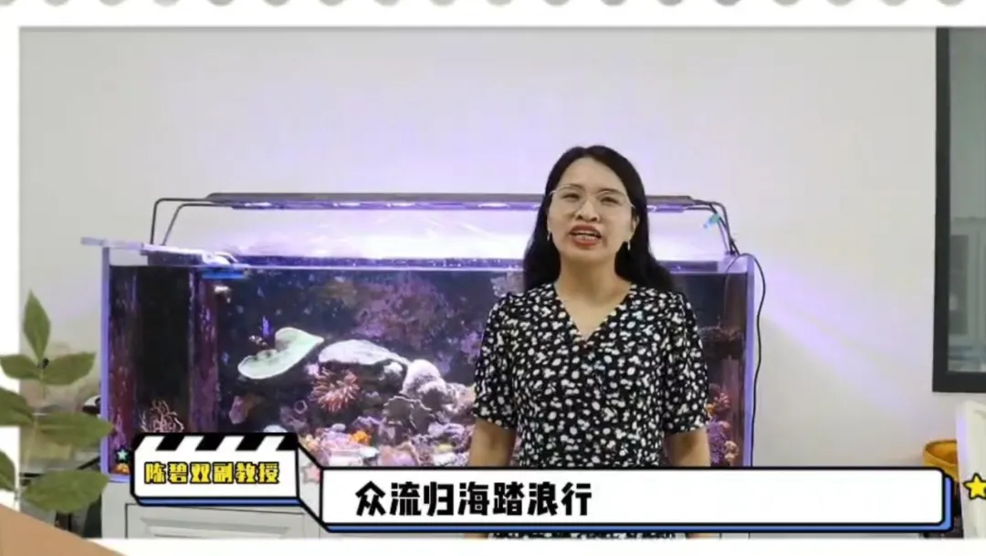 image-20240715115722-8