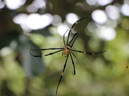 image-20240715182029-2