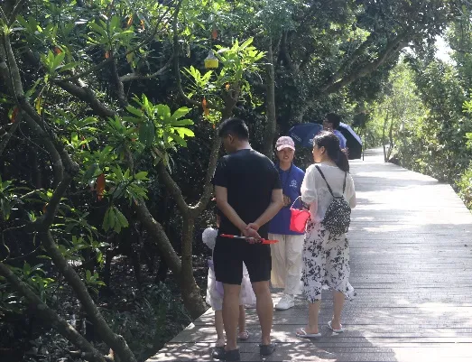 image-20240715182029-3