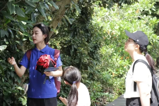 image-20240715182029-6