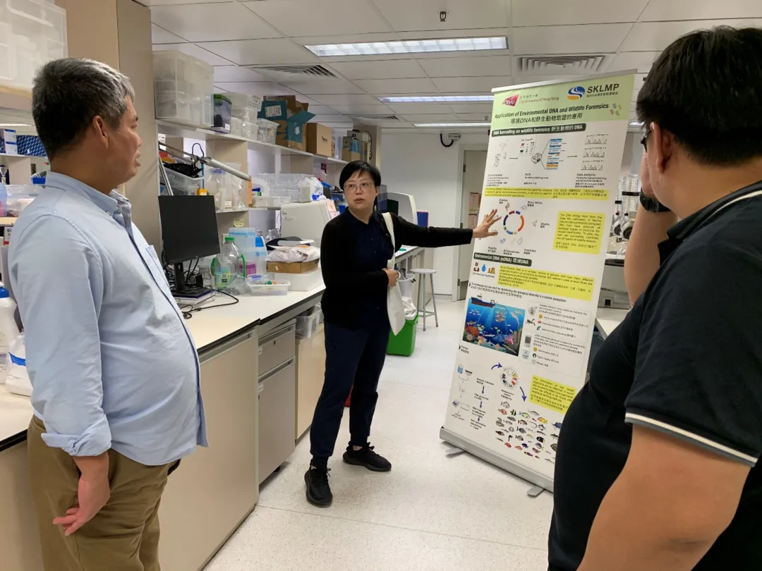 image-20240715204523-10