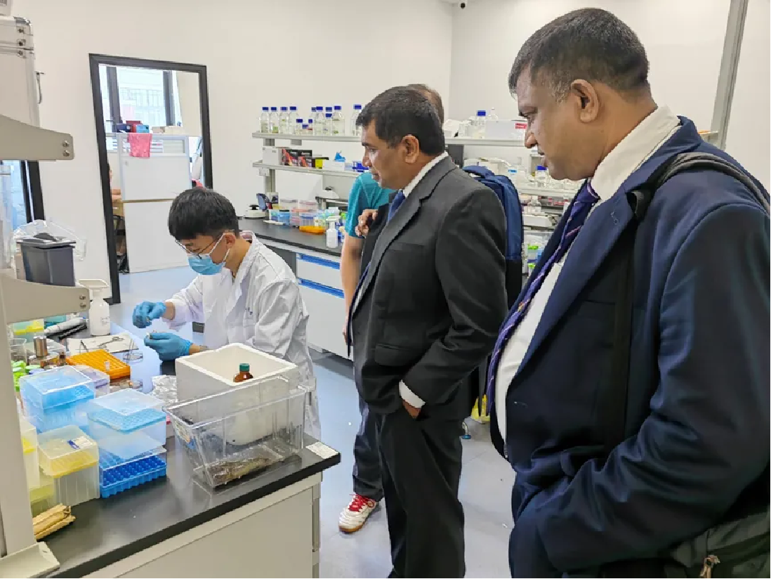 image-20240821172044-3