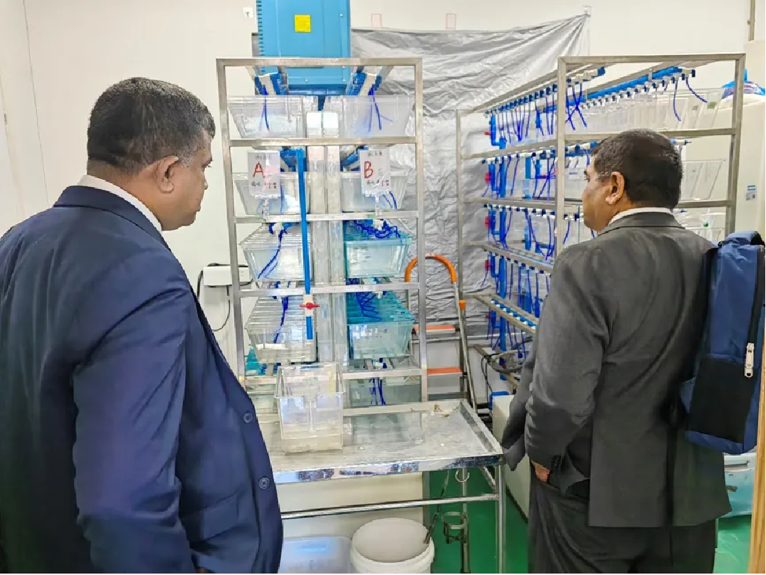 image-20240821172044-4