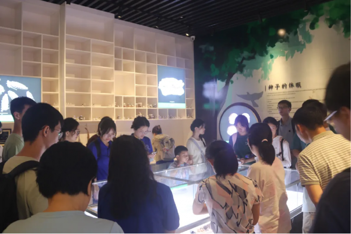 image-20240821180856-1