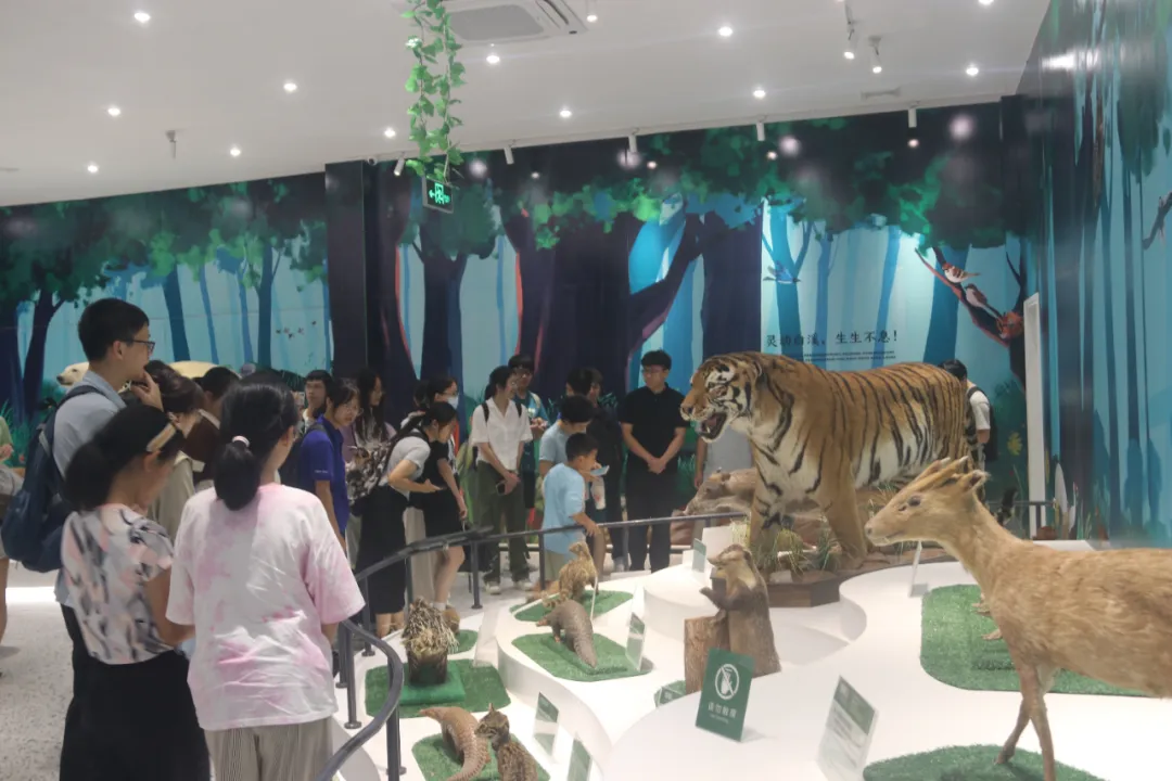 image-20240821180856-2