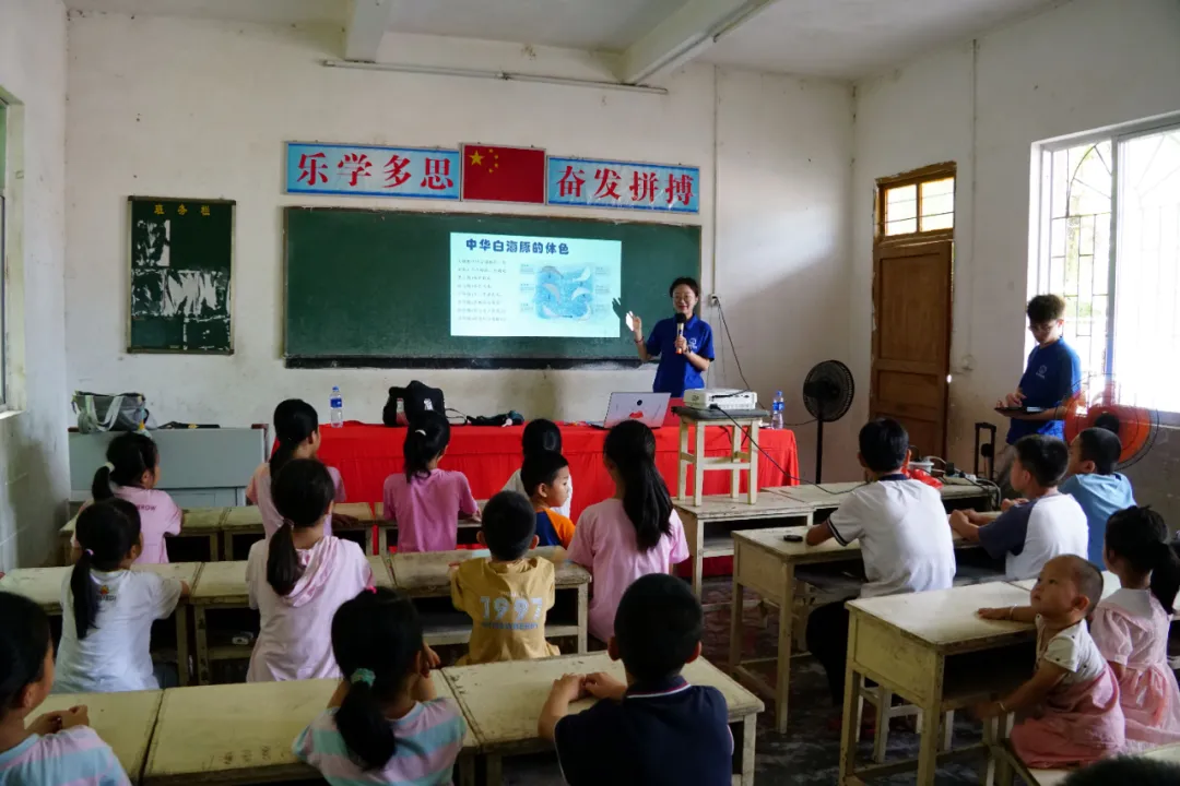 image-20240821180942-8