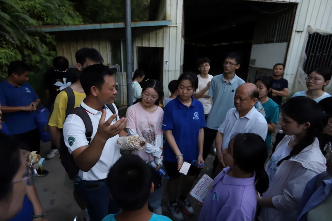 image-20240821181132-31