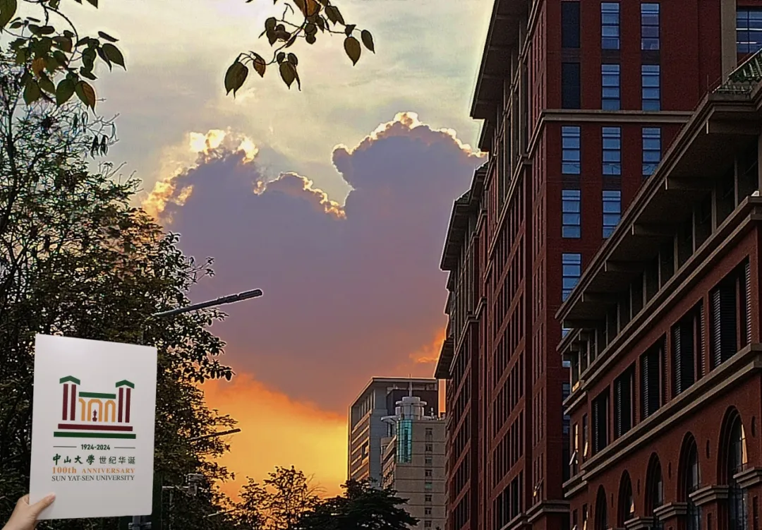 image-20240821190636-4