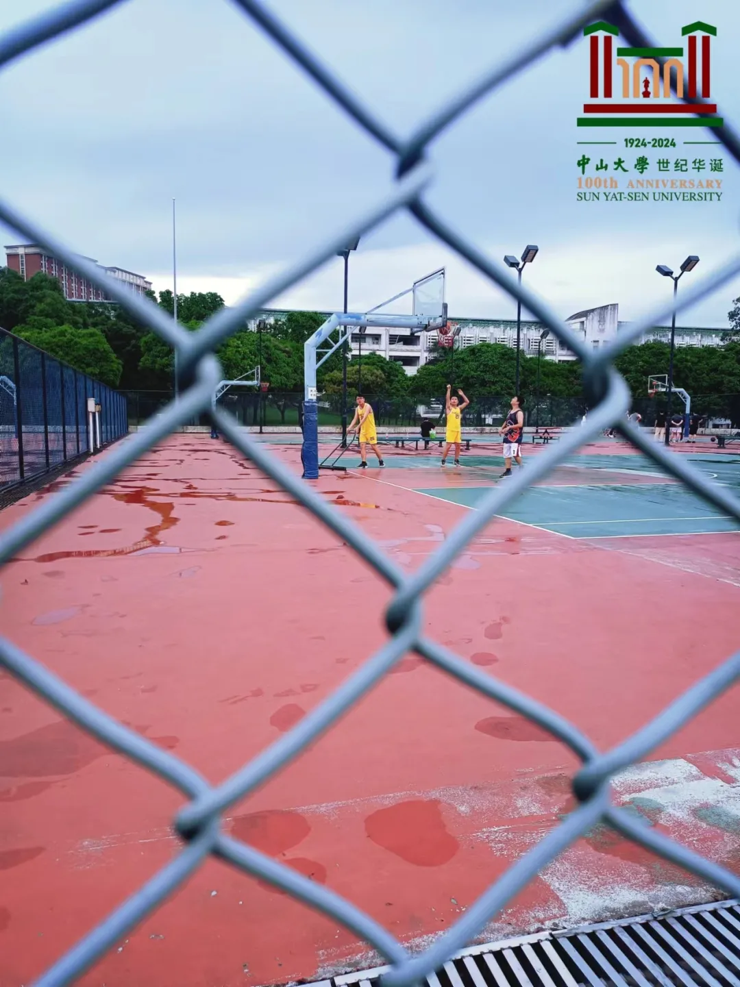 image-20240821190719-15