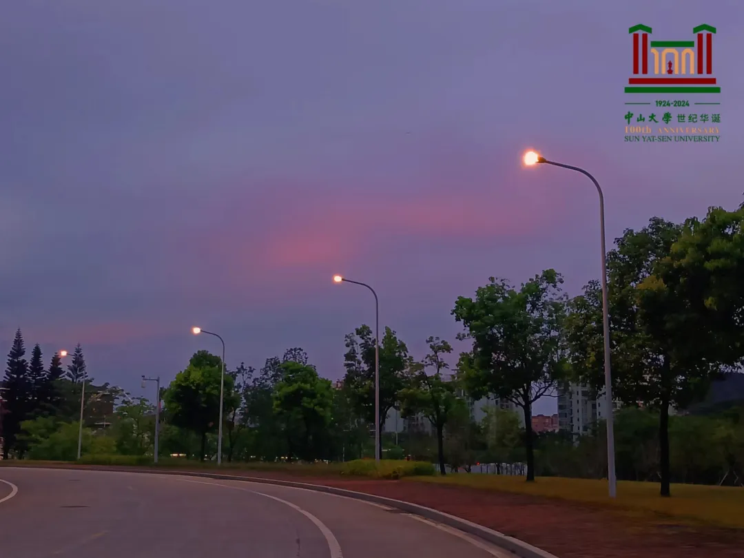 image-20240821190719-18