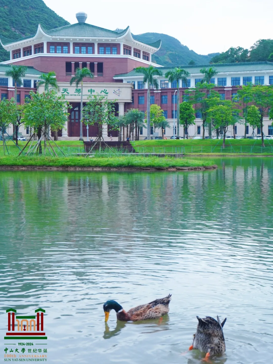 image-20240821190719-19