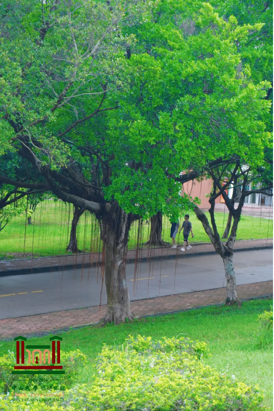 image-20240821193200-40