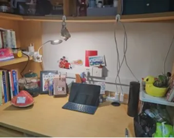 image-20240821194601-7