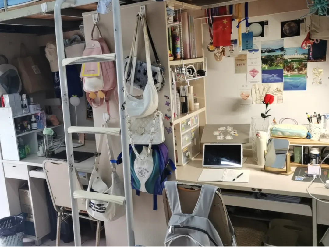 image-20240821194601-8