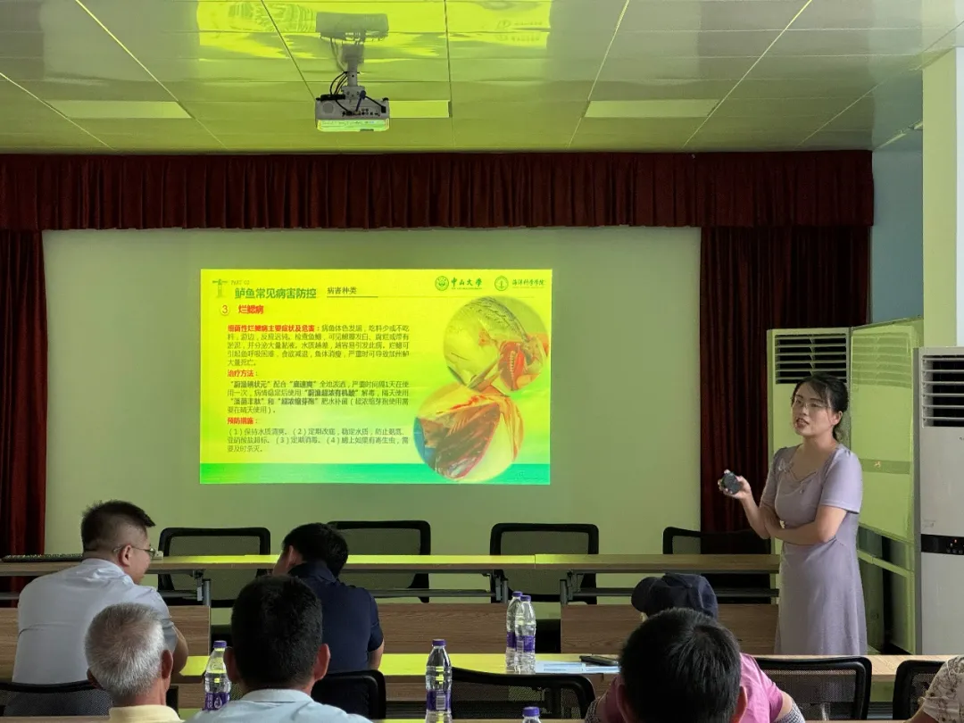 image-20240821195500-5