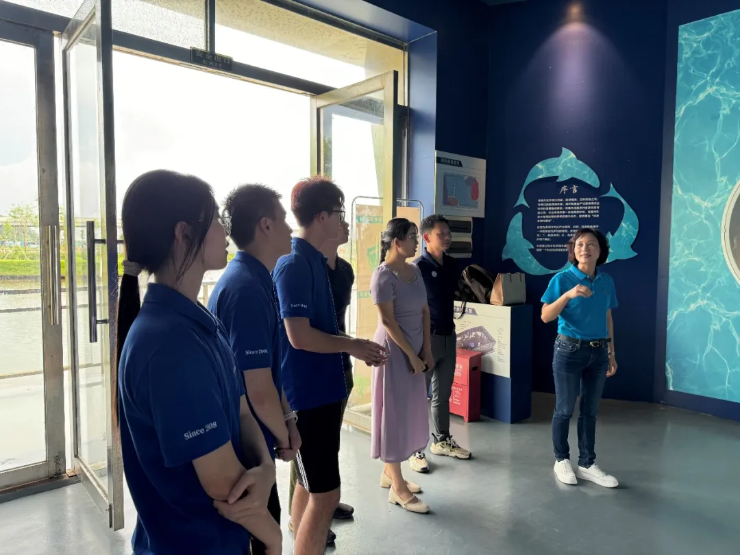 image-20240821195500-8