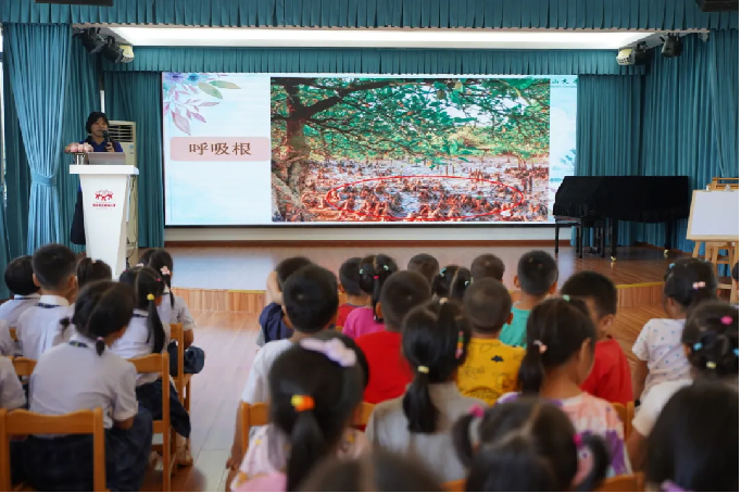 image-20241009114545-2