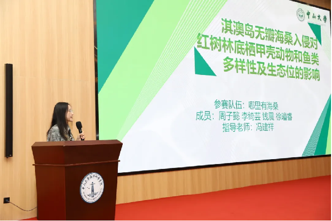 image-20241029152330-10