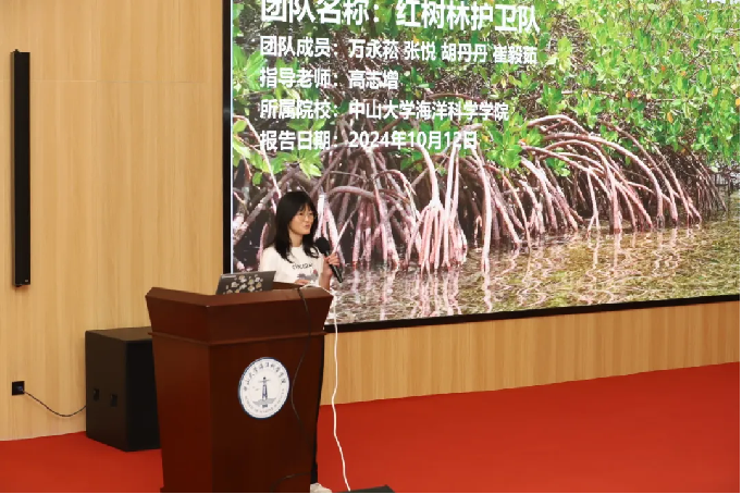 image-20241029152330-4