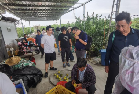 image-20241204145636-2