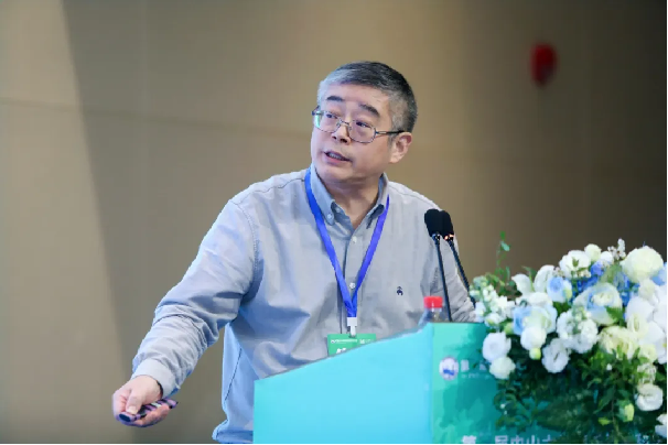 image-20241223171217-5