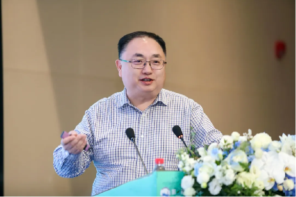 image-20241223171217-8