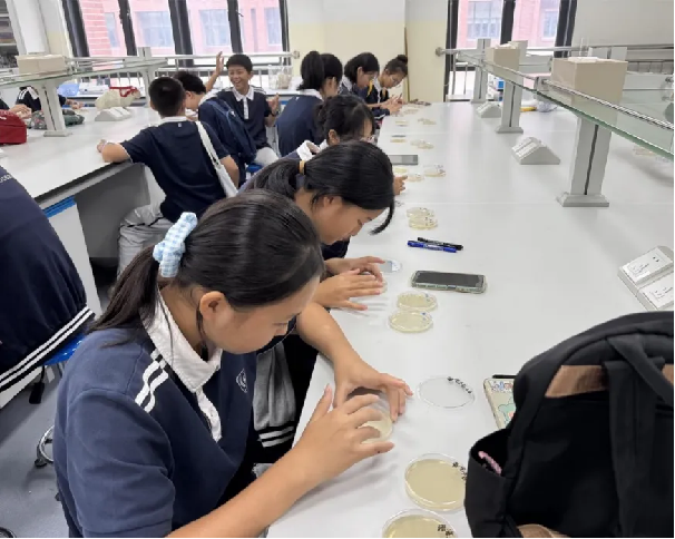 image-20241223173618-2