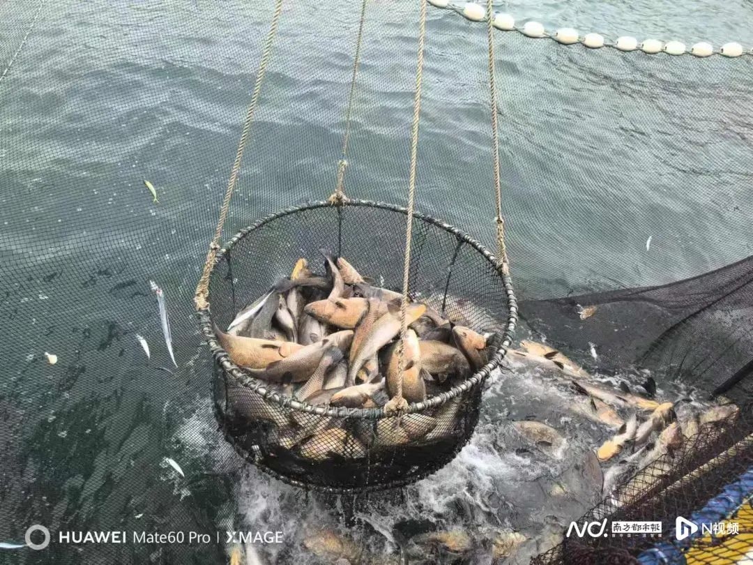 image-20250108112336-1