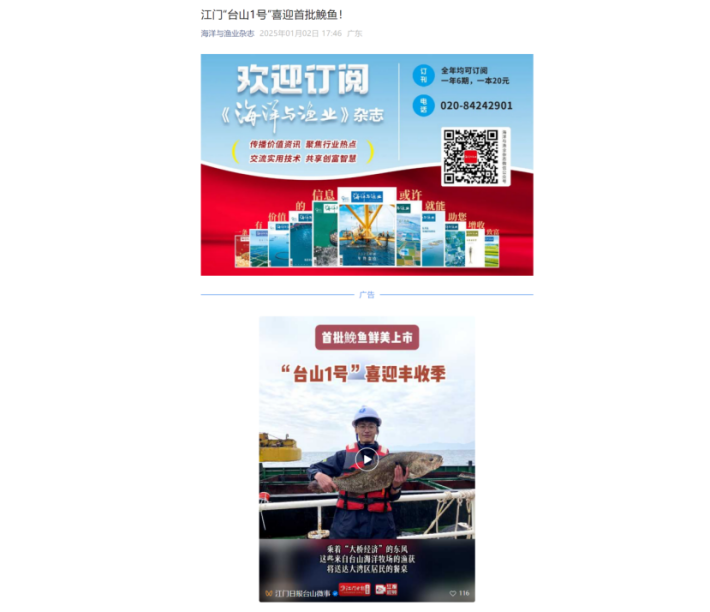 image-20250108112336-9