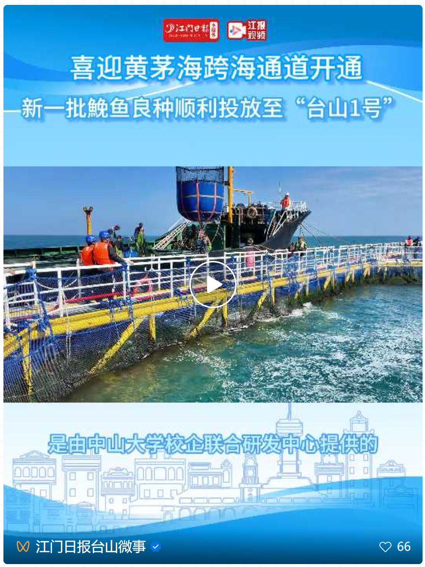 image-20250108113311-1