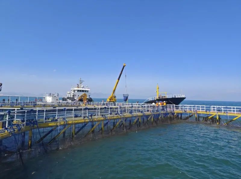 image-20250108113311-2