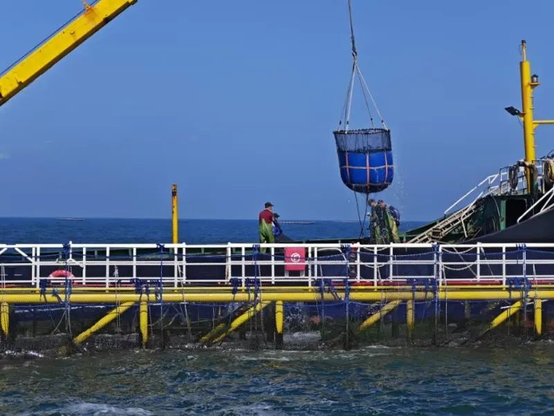 image-20250108113311-3