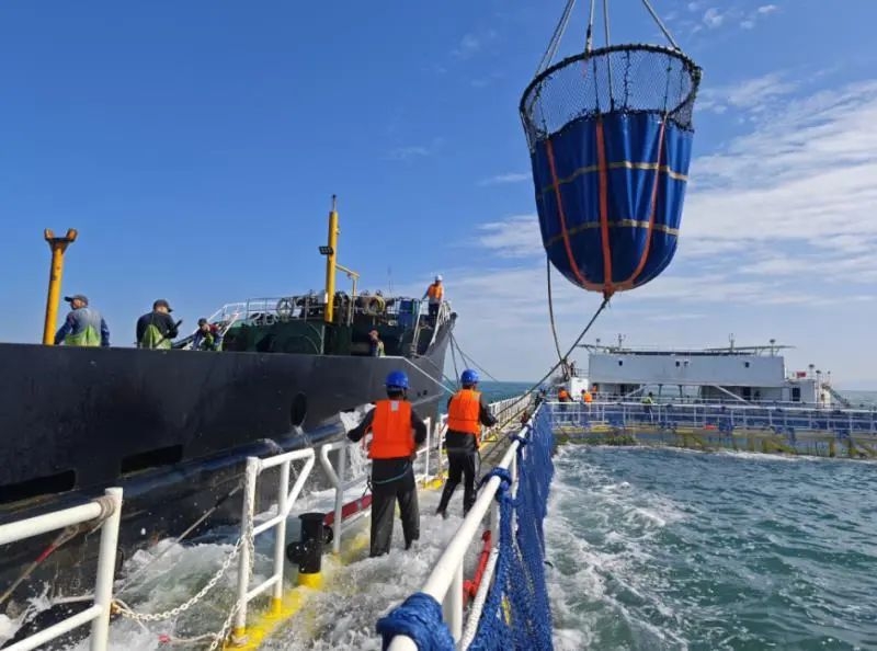 image-20250108113311-4