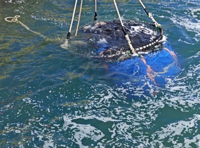 image-20250108113311-5