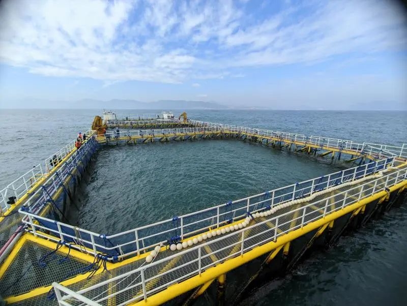 image-20250108113311-6