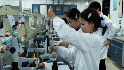 image-20250108150154-7