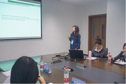 image-20250108152609-17