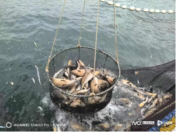 image-20250220114303-1