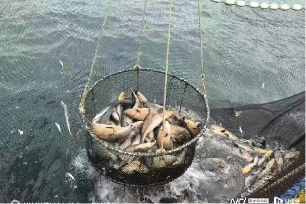 image-20250221121351-12